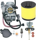 Carburetor & Air Filter & Fuel Valve Petcock With Spark Plug Pack of 2 Q272292