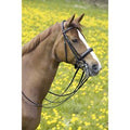 Padded Ergonomic Double Bridle X27239
