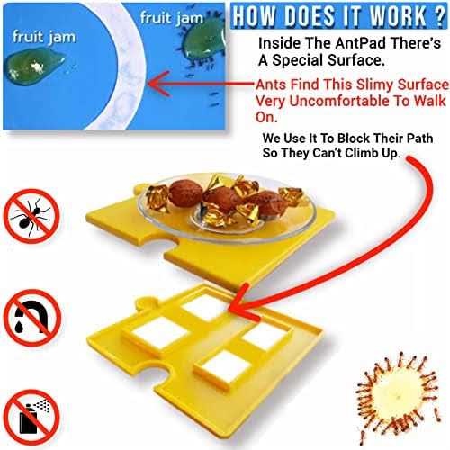 Ant Proof Pet Bowl V380