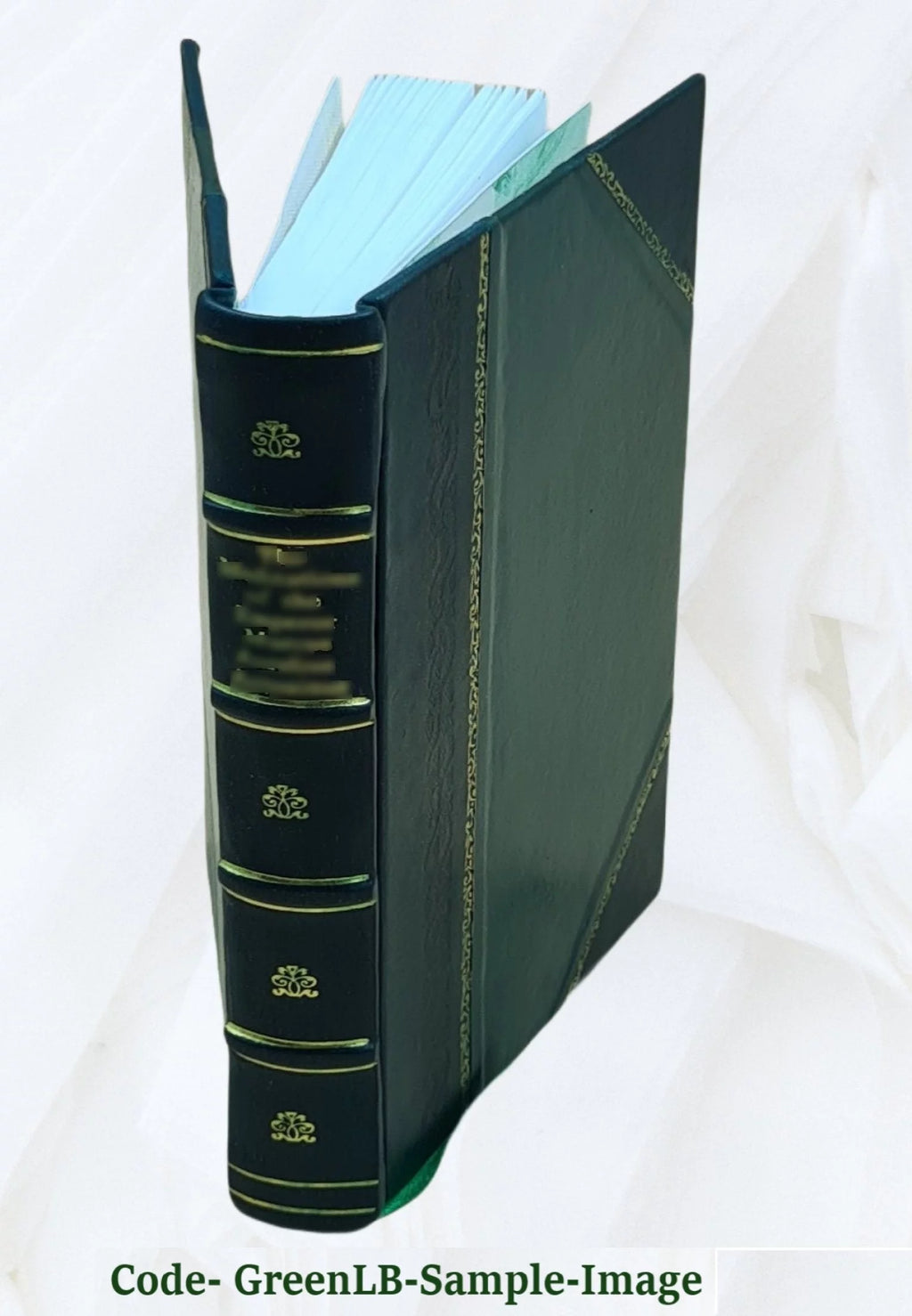 Water Supply of the United States 1958 Snake River Basin Leather Bound Y244