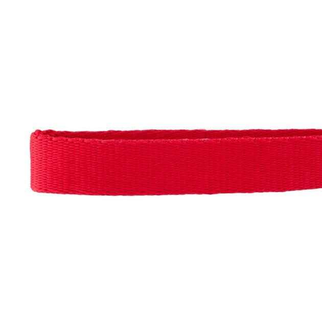 Nylon Personalized Dog Collar V727158