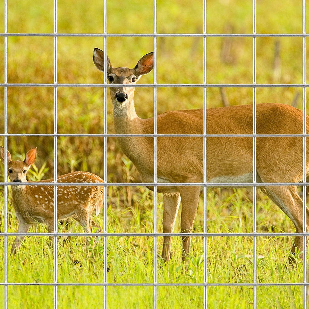 Galvanized Welded Wire Mesh Fence 24 Inch x 50 Foot 1 Inch x 1 Inch 16GA V595441