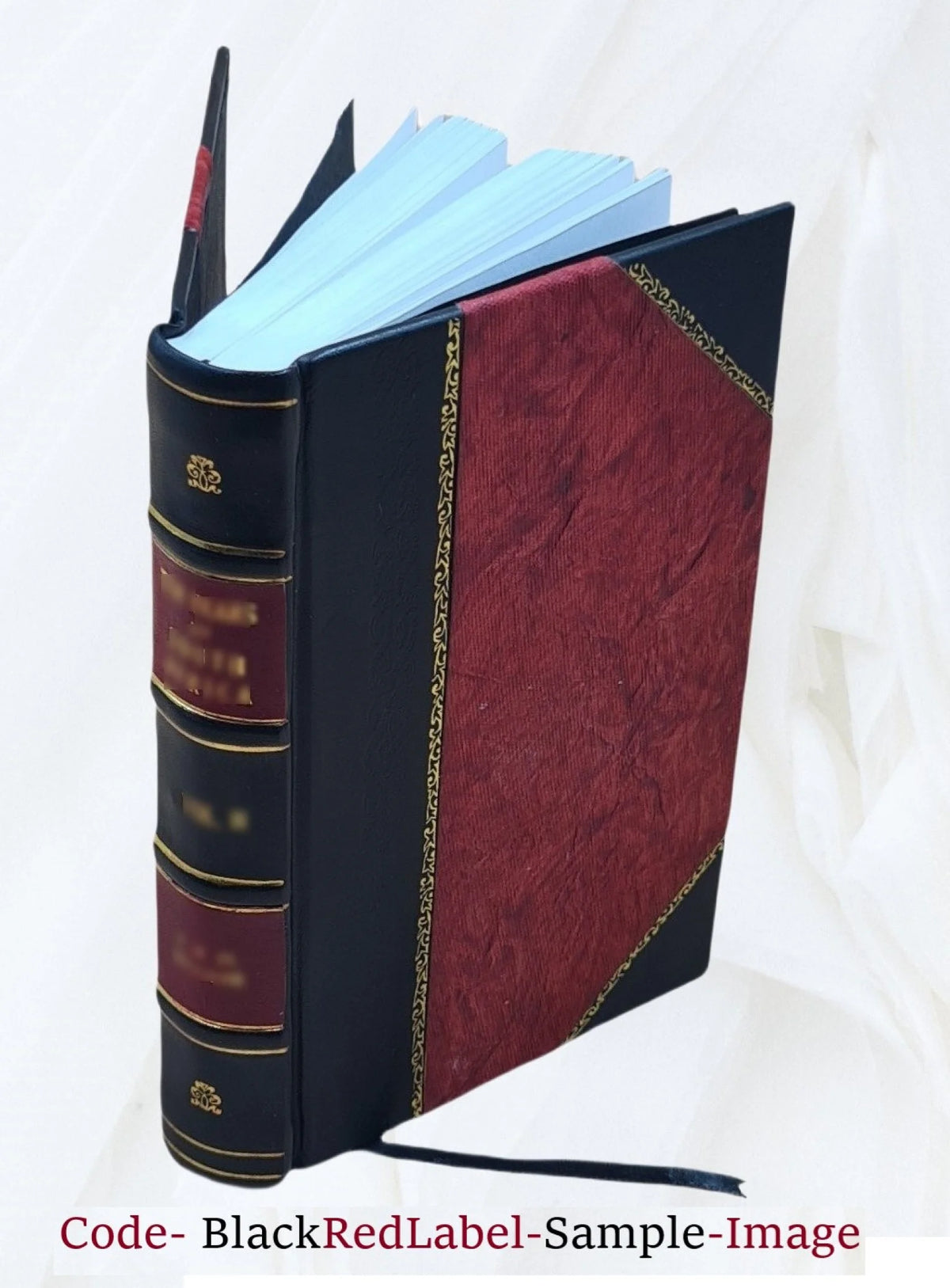 Water Supply of the United States 1958 Snake River Basin Leather Bound Y244